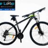Promax PM40 29" Alloy Mountain Bike
